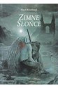 Zimne Słońce chicago polish bookstore