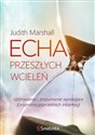 Echa przeszłych wcieleń Uzdrowienie i zrozumienie wynikające z poznania poprzednich inkarnacji bookstore