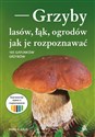 Grzyby lasów, łąk i ogrodów - jak je rozpoznawać 165 grzybów - Polish Bookstore USA