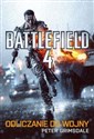 Battlefield 4 Odliczanie do wojny polish usa