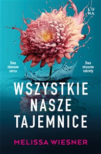 Wszystkie nasze tajemnice buy polish books in Usa