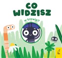 Co widzisz w trawie? - Patrycja Grześkowiak