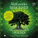 Mitologia słowiańska i polska Audiobook   