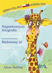 Najpiękniejsza fotografia. Malowany ul Bookshop