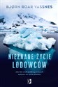 Nieznane życie lodowców Jak lód z kół podbiegunowych wpływa na życie planety  