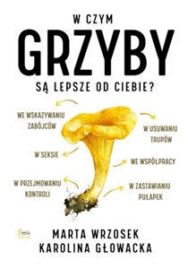 W czym grzyby są lepsze od ciebie? to buy in USA