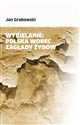 Wybielanie Polska wobec Zagłady Żydów  