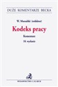 Kodeks pracy. Komentarz  