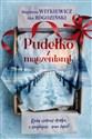 Pudełko z marzeniami - Alek Rogoziński