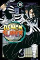 Demon Slayer Kimetsu no Yaiba vol. 19 chicago polish bookstore