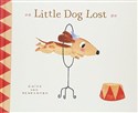 Little Dog Lost  