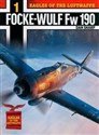 Eagles of the Luftwaffe: Focke-Wulf Fw 190  - Dan Sharp online polish bookstore
