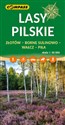 Lasy Pilskie 1:50 000 books in polish