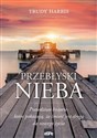 Przebłyski nieba Prawdziwe historie, które pokazują, że śmierć jest drogą do nowego życia - Trudy Harris chicago polish bookstore