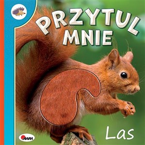 Przytul mnie Las bookstore