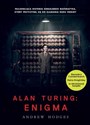 Alan Turing Enigma polish books in canada