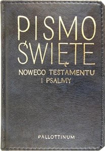 Nowy Testament i Psalmy- ekooprawa chicago polish bookstore
