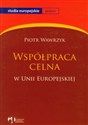 Współpraca celna w Unii Europejskiej pl online bookstore