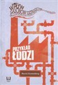 Wpływ zasobów dziedzictwa przemysłowego na atrakcyjność turystyczną miasta Przykład Łodzi polish books in canada