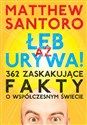 Aż łeb urywa 362 zaskakujące fakty o współczesnym świecie - Matthew Santoro  