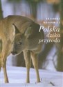 Polska dzika przyroda Polish bookstore