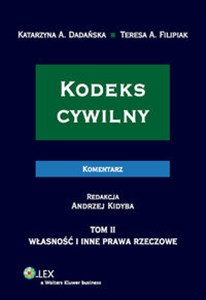 Kodeks cywilny Komentarz Tom 2 Własność i inne prawa rzeczowe. books in polish