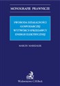 Swoboda działalności gospodarczej wytwórcy - sprzedawcy energii elektrycznej polish usa
