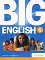 Big English 6 Pupil's Book polish usa