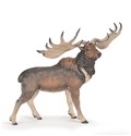 Megaloceros - 