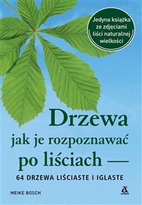 Drzewa jak je rozpoznawać po liściach Polish Books Canada
