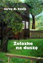 Żelazko na duszę Bookshop
