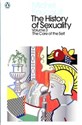 The History of Sexuality Volume 3 The Care of the Self - Michel Foucault