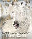 Andalusians Lusitanos - Gabriele Boiselle in polish