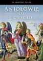 Aniołowie nasi przyjaciele books in polish