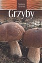Grzyby to buy in Canada
