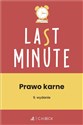 Prawo karne + testy online - Opracowanie Redakcyjne