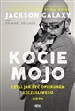 Kocie mojo czyli jak być opiekunem szczęśliwego kota to buy in USA