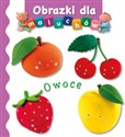 Owoce. Obrazki dla maluchów buy polish books in Usa