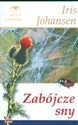 Zabójcze sny buy polish books in Usa