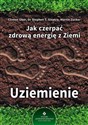 Jak czerpać zdrową energię z Ziemi Uziemienie - Polish Bookstore USA