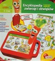 Karotka Encyklopedia zwierząt i dźwięków buy polish books in Usa