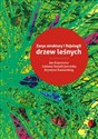 Zarys struktury i fizjologii drzew leśnych pl online bookstore