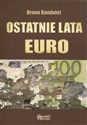 Ostatnie lata Euro Raport o walucie, której nie chcieli Niemcy in polish