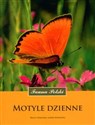 Motyle dzienne buy polish books in Usa