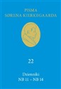 Dzienniki NB 11-NB 14 (22) Polish Books Canada