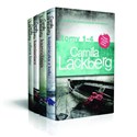 Księżniczka z lodu / Kaznodzieja / Kamieniarz / Ofiara losu Pakiet Camilla Lackberg Tom 1-4 pl online bookstore