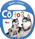 Co to Mamy i dzieci pl online bookstore