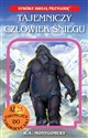 Tajemniczy człowiek śniegu. Stwórz swoją historię tom 3 Polish bookstore