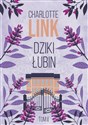 Dziki łubin 