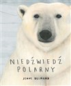 Niedźwiedź polarny online polish bookstore